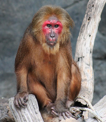 Similar image 1465189