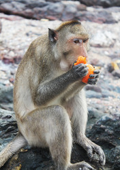 Similar image 1465191