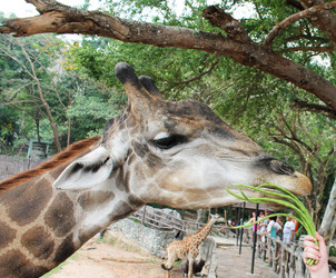 Similar image 1465192