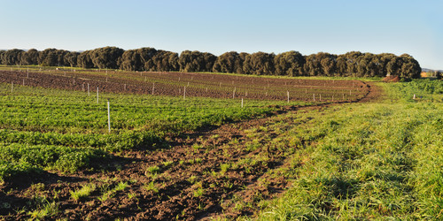 Similar image 1465206