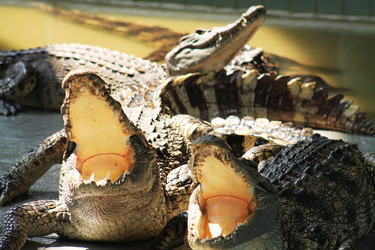 Similar image 1465212