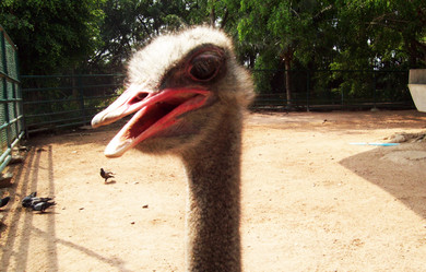 Similar image 1465213