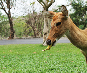 Similar image 1465214