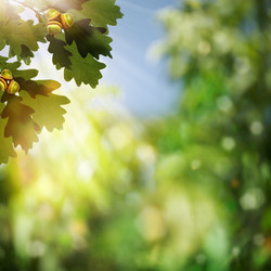 Similar image 1465219