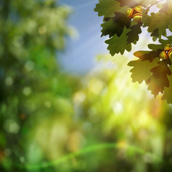 Similar image 1465220