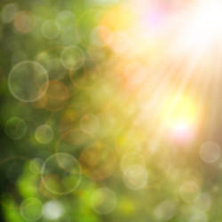 Similar image 1465228