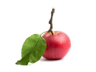 Similar image 1465288