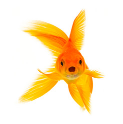 Similar image 1465338