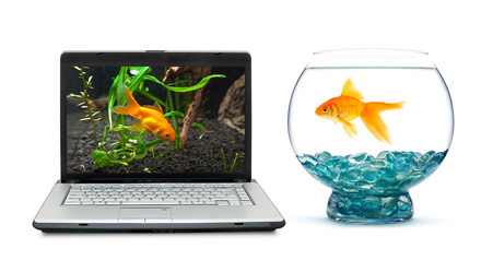 Similar image 1465344