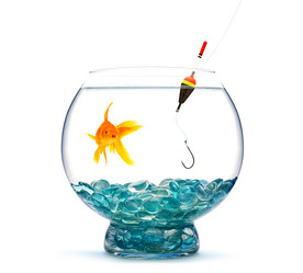 Similar image 1465350