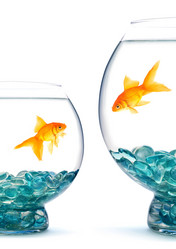 Similar image 1465353