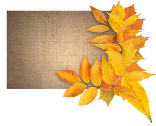 Similar image 1465369