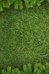 Similar image 1465399