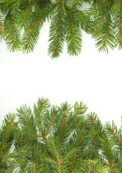 Similar image 1465401