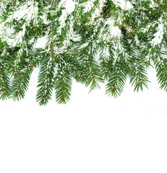 Similar image 1465408