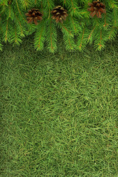 Similar image 1465423