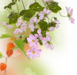 Similar image 1465435