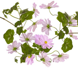 Similar image 1465436