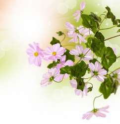 Similar image 1465440