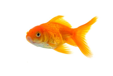 Similar image 1465454