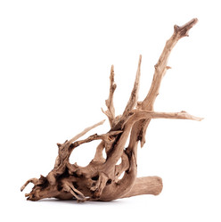 Similar image 1465468