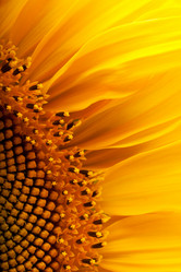 Similar image 1465599