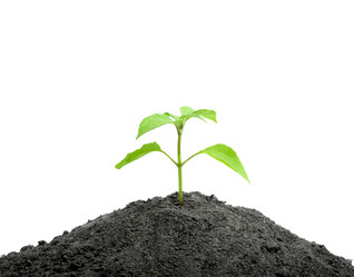 Similar image 1465606