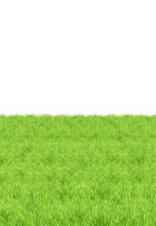 Similar image 1465612