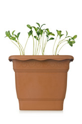 Similar image 1465624