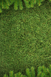 Similar image 1465631