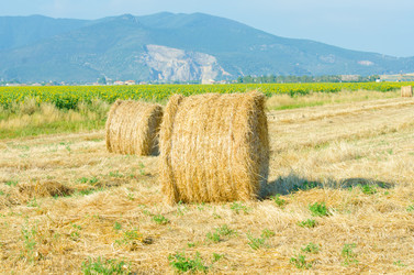 Similar image 1465665