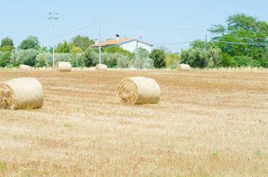 Similar image 1465669