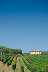 Similar image 1465671