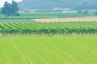 Similar image 1465687