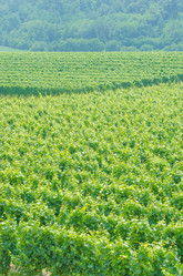 Similar image 1465688