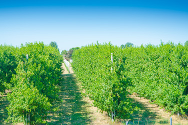 Similar image 1465725