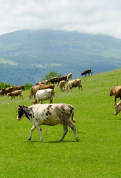 Similar image 1465740