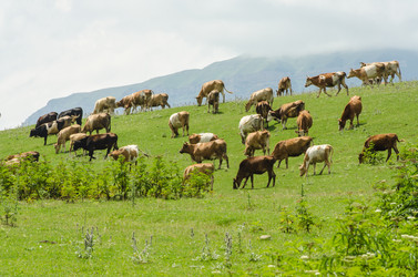 Similar image 1465749