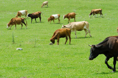 Similar image 1465770