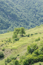 Similar image 1465771