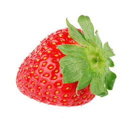 Similar image 1465969