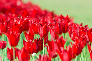 Similar image 1465981