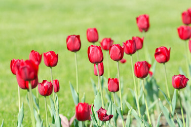 Similar image 1466007