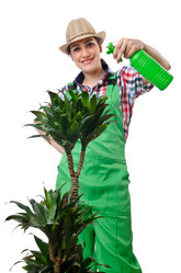 Similar image 1466044