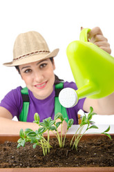 Similar image 1466046