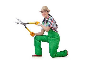 Similar image 1466052