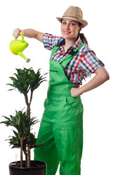 Similar image 1466053