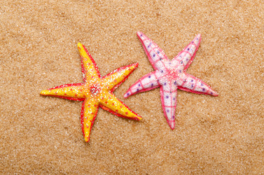 Similar image 1466062