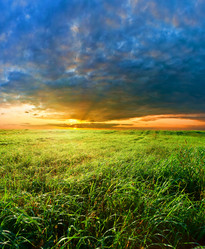 Similar image 1466107