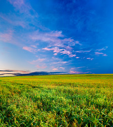 Similar image 1466109